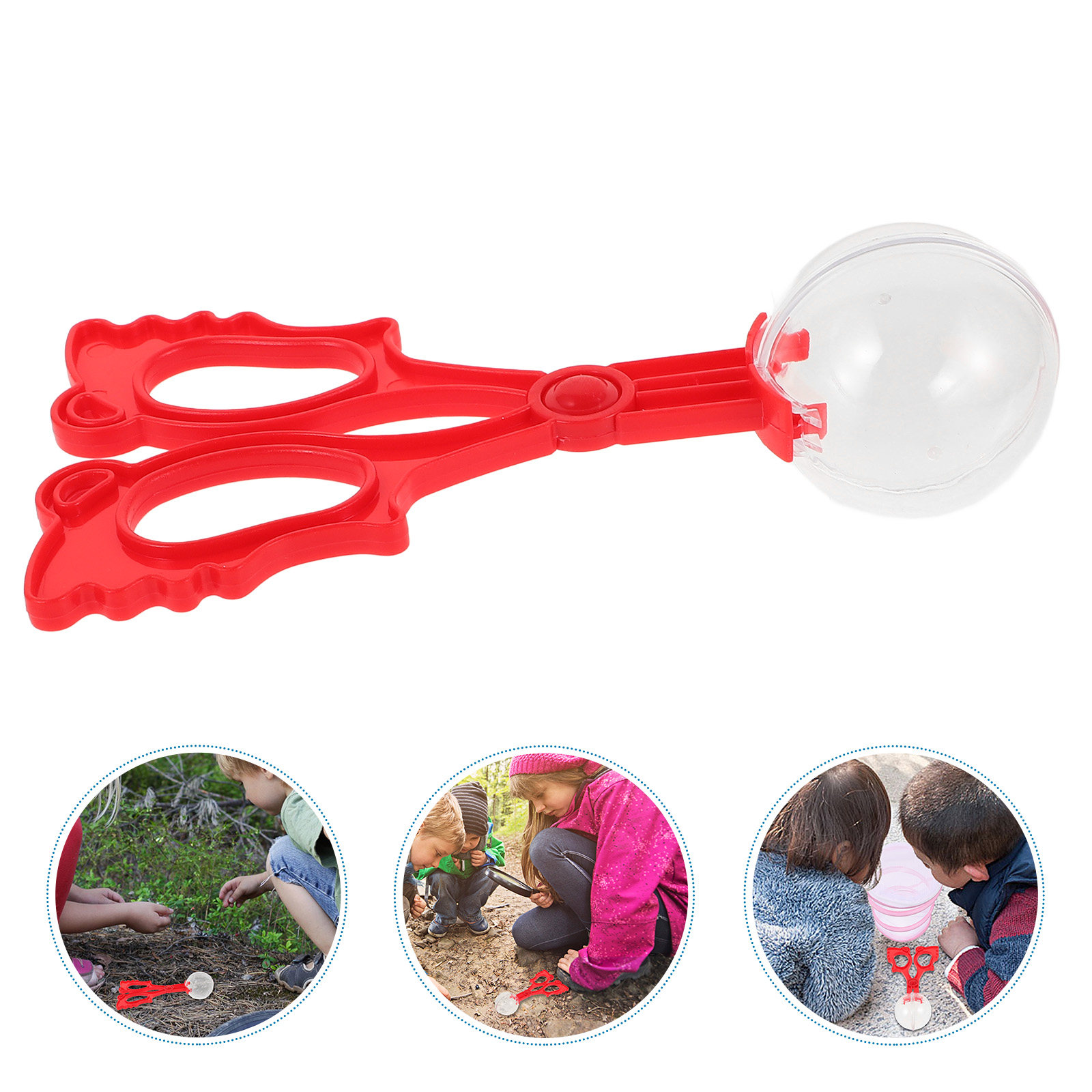 昆虫捕獲用クロー、爬虫類・蝶類採取用トング、子供向け屋外探求 - Kids Outdoor Tools のレビューと価格